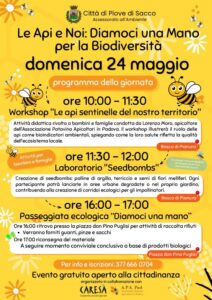 locandina api